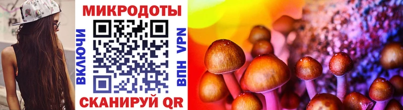 Галлюциногенные грибы мухоморы  купить закладку  Суворов 